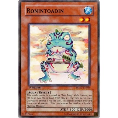 Ronintoadin - TSHD-EN033