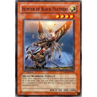 Hunter of Black Feathers - TSHD-EN038