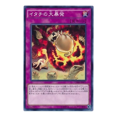 Ferret Flames - CORE-JP077 - Usada