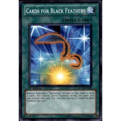 Cards for Black Feathers - TSHD-EN046