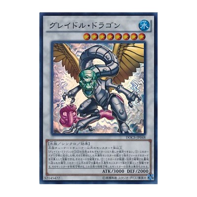 Graydle Dragon - DOCS-JP048