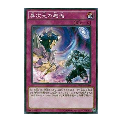 Different Dimension Encounter - NECH-JP080