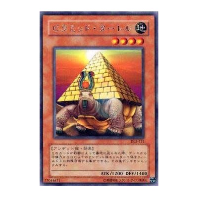 Pyramid Turtle - DL5-111 - Nova