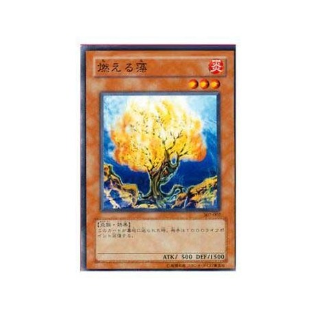 Burning Algae - 307-007 - Nova