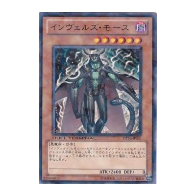 Steelswarm Moth - DT10-JP031