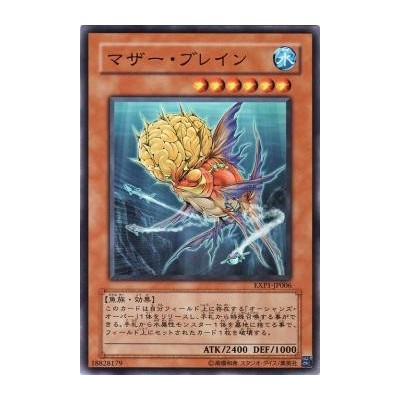 Cranium Fish - EXP1-JP006 - Nova