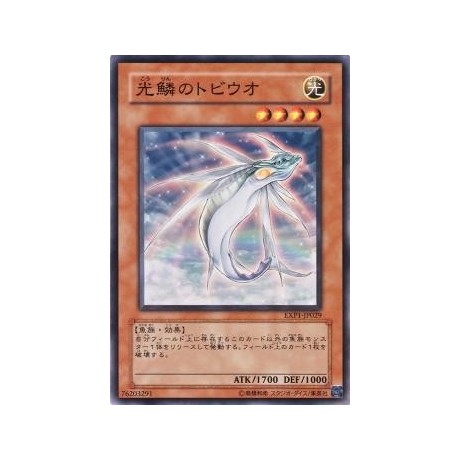 Golden Flying Fish - EXP1-JP029