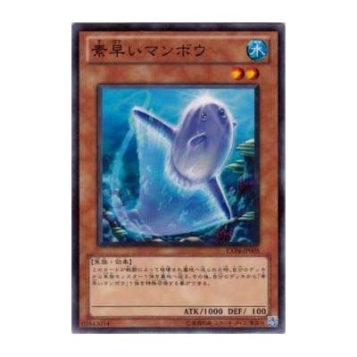 Nimble Sunfish - EXP4-JP005 - Nova