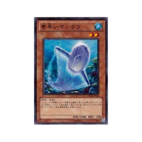 Nimble Sunfish - EXP4-JP005 - Nova