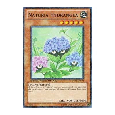 Naturia Hydrangea