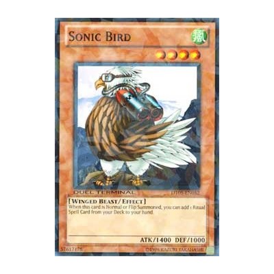 Sonic Bird