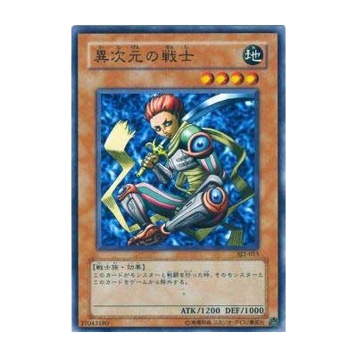 D.D. Warrior - SJ2-015