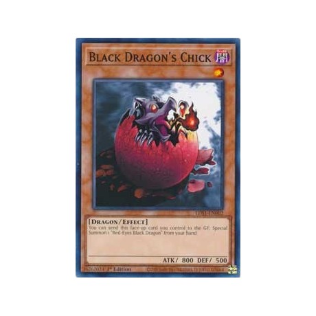 Black Dragon's Chick - LDS1-EN002