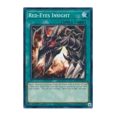 Red-Eyes Insight - LDS1-EN019