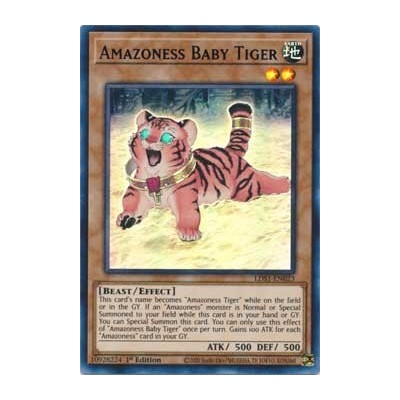 Amazoness Baby Tiger - LDS1-EN023