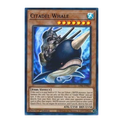 Citadel Whale - LDS1-EN027