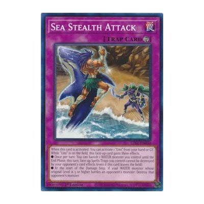 Sea Stealth Attack - LDS1-EN030