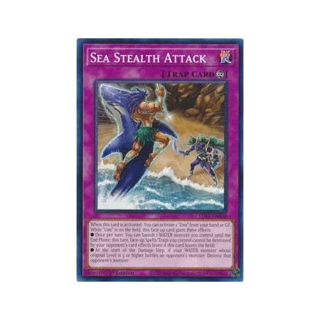 Sea Stealth Attack - LDS1-EN030