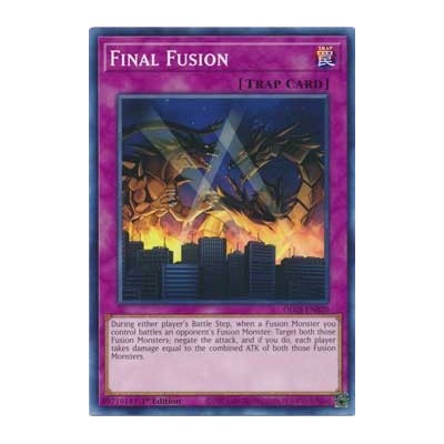 Final Fusion - DLCS-EN020