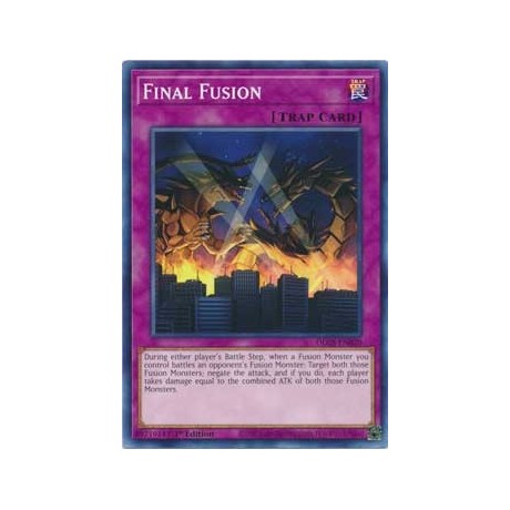 Final Fusion - DLCS-EN020