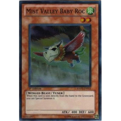 Mist Valley Baby Roc - HA02-EN013