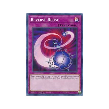 Reverse Reuse - DLCS-EN089