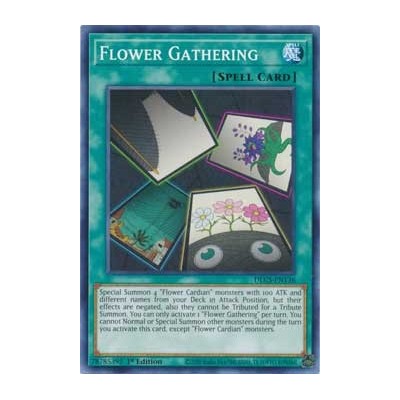 Flower Gathering - DLCS-EN136