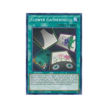 Flower Gathering - DLCS-EN136