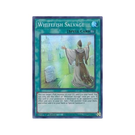 Whitefish Salvage - MP20-EN099