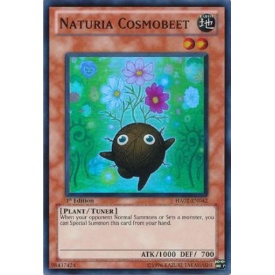 Naturia Cosmobeet - HA02-EN042