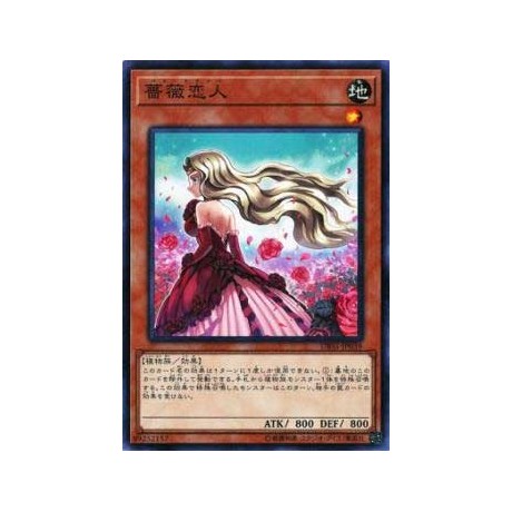 Rose Lover - DBSS-JP039