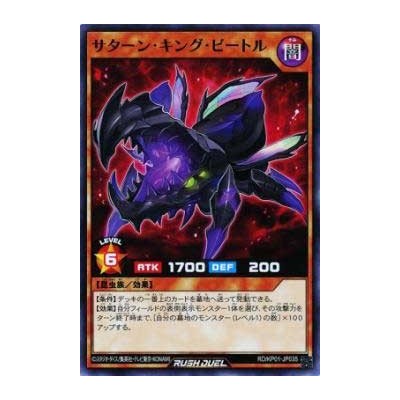 Saturn King Beetle - RD/KP01-JP035