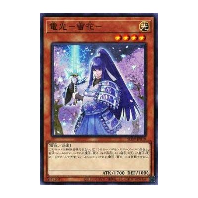 Denko Sekka - SD39-JP019