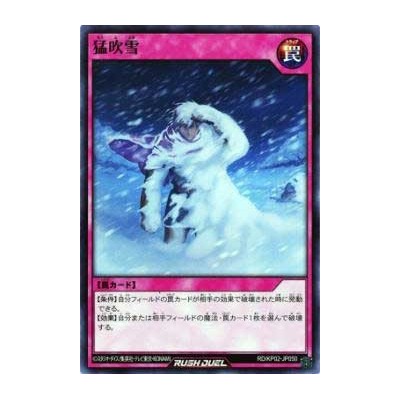 Driving Snow - RD/KP02-JP050