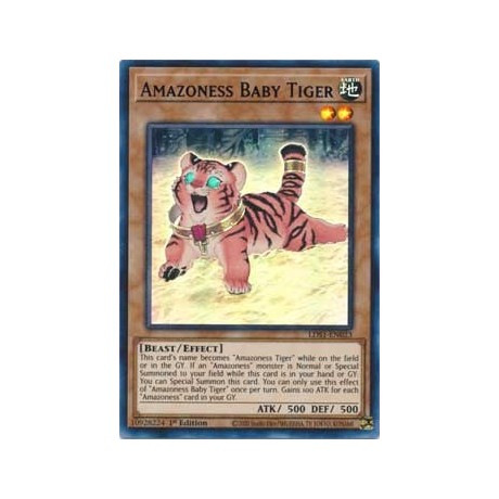 Amazoness Baby Tiger - LDS1-EN023