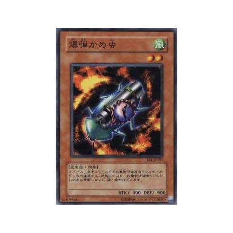 Bombardment Beetle - BE1-JP197