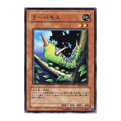 Larvae Moth - BE1-JP144