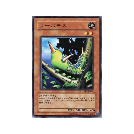 Larvae Moth - BE1-JP144