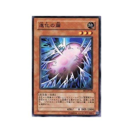 Cocoon of Evolution - BE1-JP148