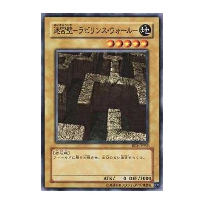 Labyrinth Wall - BE1-JP035