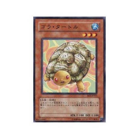 Gora Turtle  - BE2-JP215