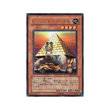 Pyramid Turtle  - BE2-JP225