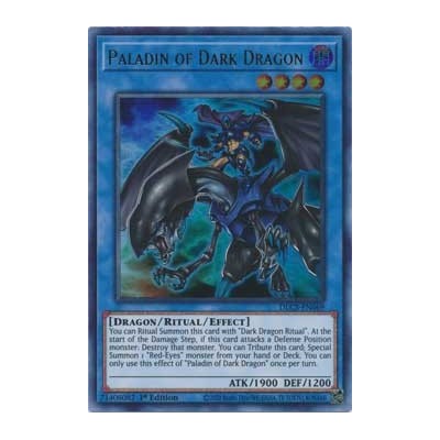 Paladin of Dark Dragon - DLCS-EN069