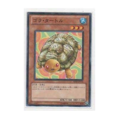 Gora Turtle  - BE02-JP174