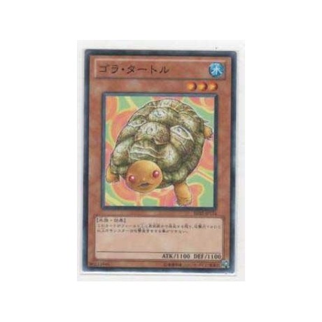 Gora Turtle  - BE02-JP174