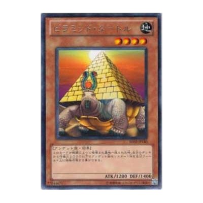 Pyramid Turtle  - BE02-JP183