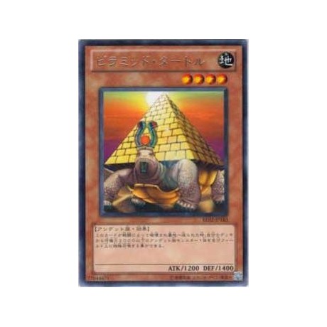 Pyramid Turtle  - BE02-JP183