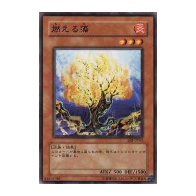 Burning Algae - EE2-JP063