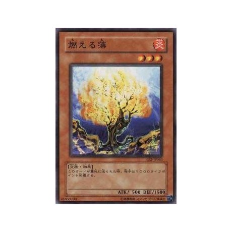 Burning Algae - EE2-JP063