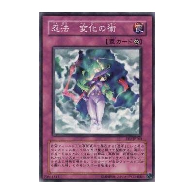 Ninjitsu Art of Transformation - EE2-JP164